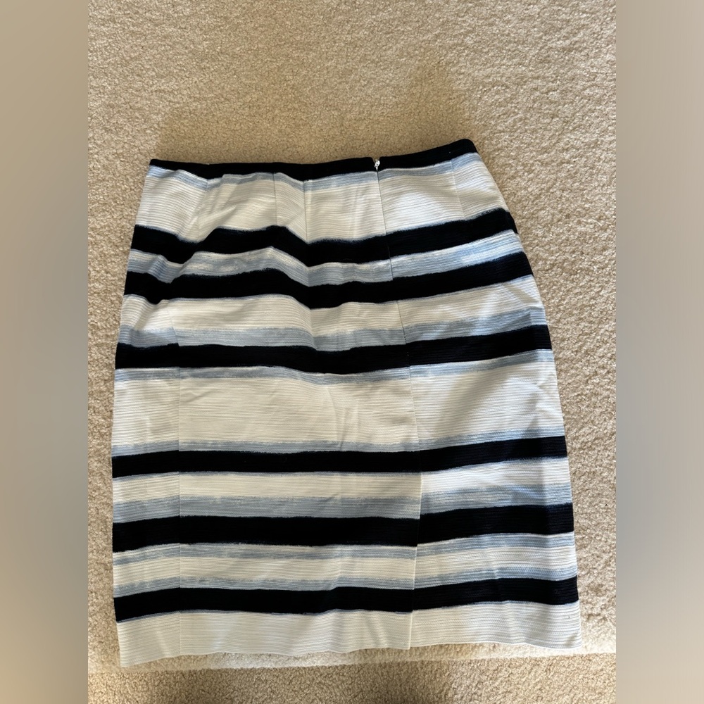 Ann Taylor Striped Skirt